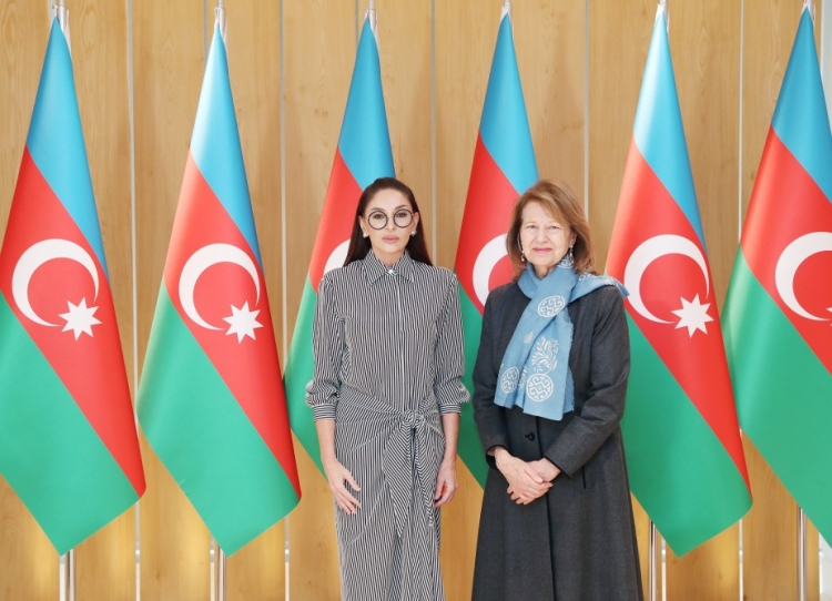 Mehriban Əliyeva Britaniya Baş nazirinin ticarət elçisi ilə görüşüb