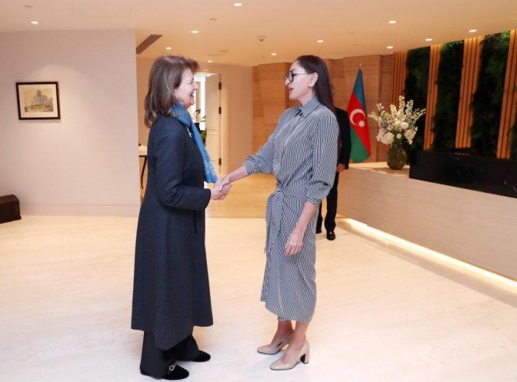 Mehriban Əliyeva Britaniya Baş nazirinin ticarət elçisi ilə görüşüb