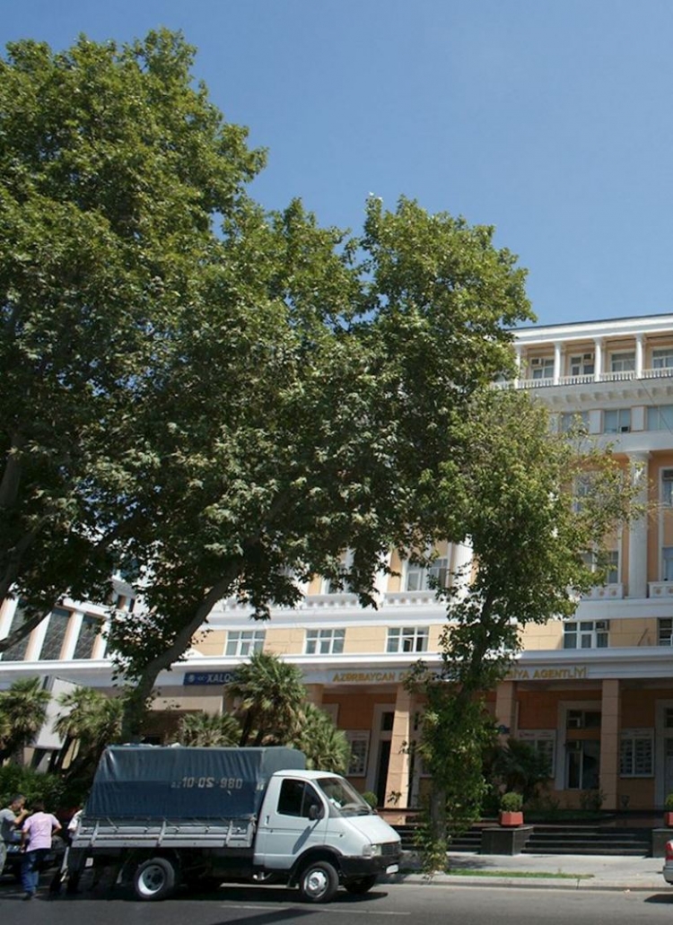 Bakıda ağacları kəsib yerində parkinq saldılar -