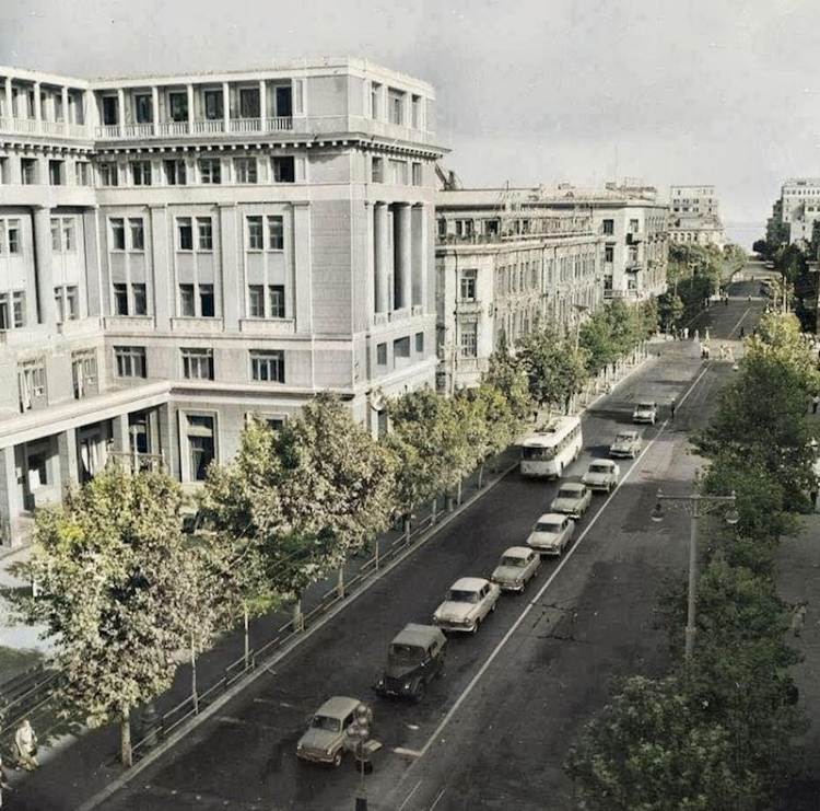 Bakıda ağacları kəsib yerində parkinq saldılar -