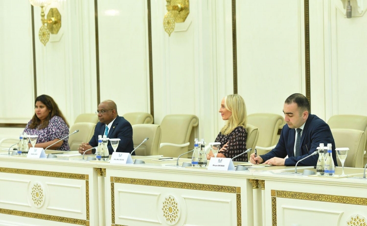 Milli Məclisin sədri BMT Baş Assambleyasının prezidenti ilə görüşüb