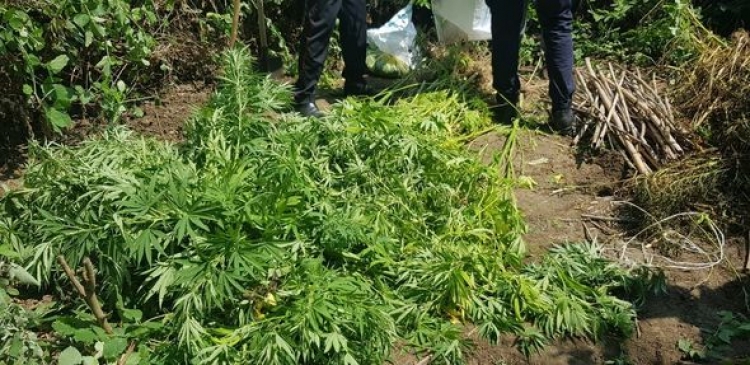 Ağcabədi polisi əməliyyat keçirib: 30 nəfər saxlanıldı