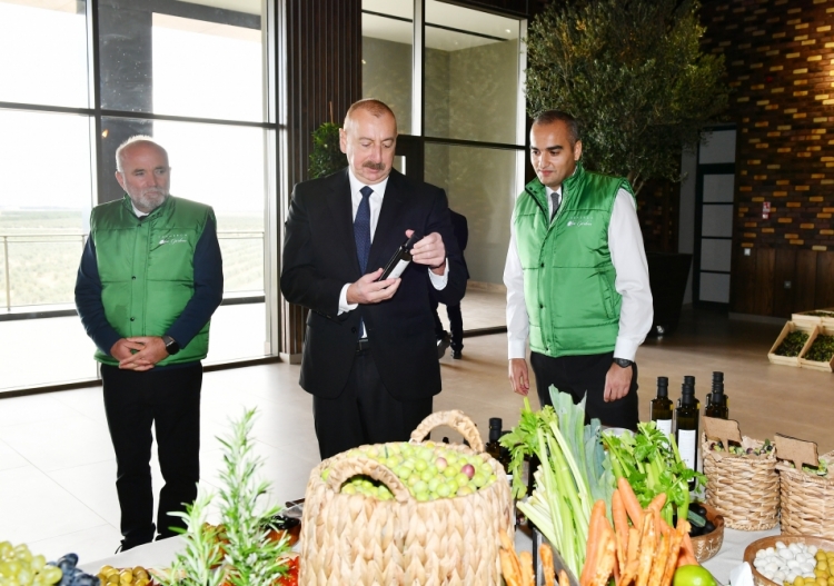 Prezident zeytun zavodunun açılışında iştirak edib -