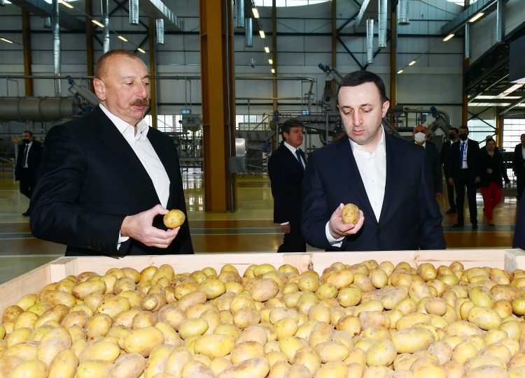 İlham Əliyev və İrakli Qaribaşvili Qəbələ Qida Şəhərciyində olublar  -