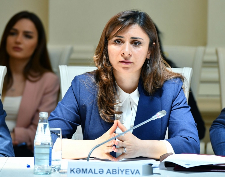 Ali Məhkəmədə Dövlət Xidmətinin nümayəndələri ilə görüş keçirilib -