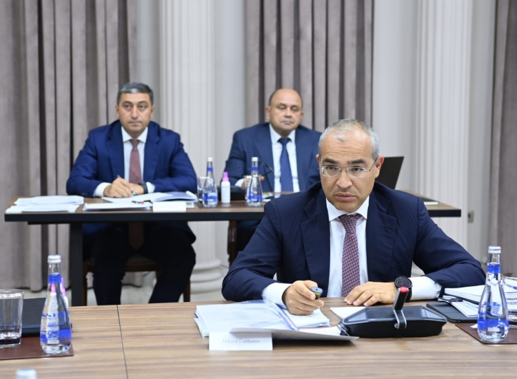İqtisadi Şuranın növbəti iclası keçirilib -