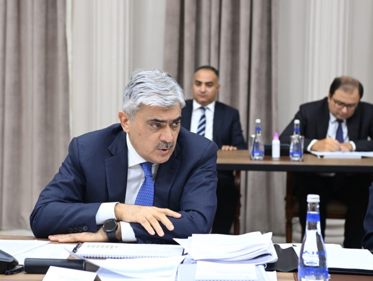 İqtisadi Şuranın növbəti iclası keçirilib -
