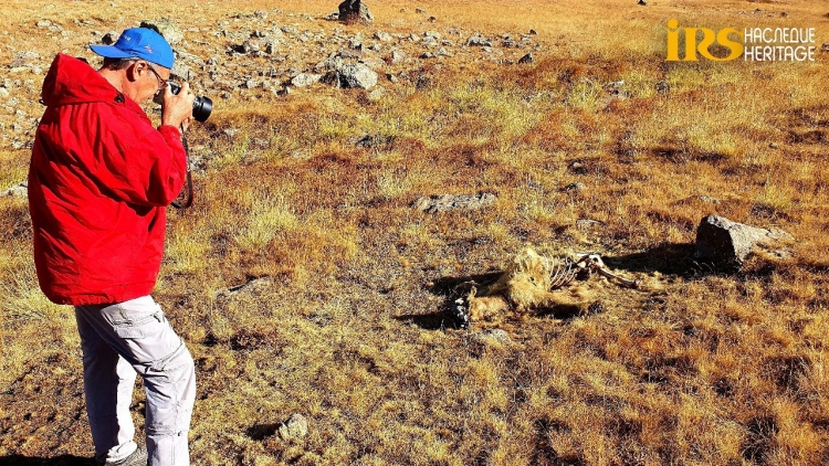 Hikmət Hacıyev: "Ermənistanın basdırdığı minalar təhlükə yaratmağa davam edir"