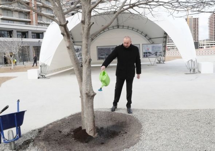 Prezident Ağ Şəhərdə -