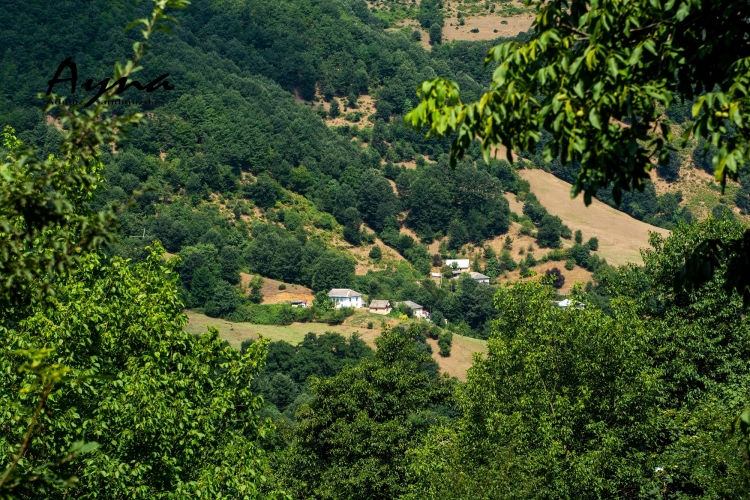 Qaranlıq quyu: zülmət deyil, həyat verir –