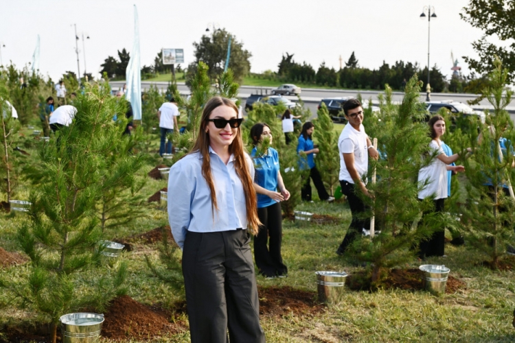 Bakının “Gənclik” parkında ağacəkmə aksiyası keçirilib -