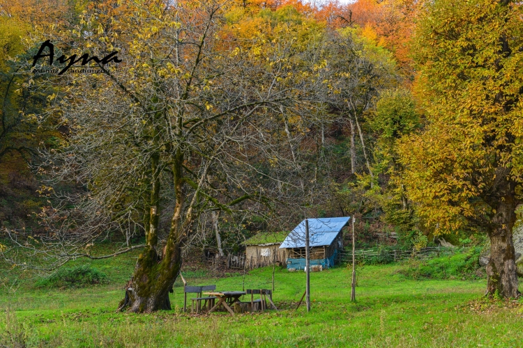 Yaradan buranı bir başqa yaradıb –