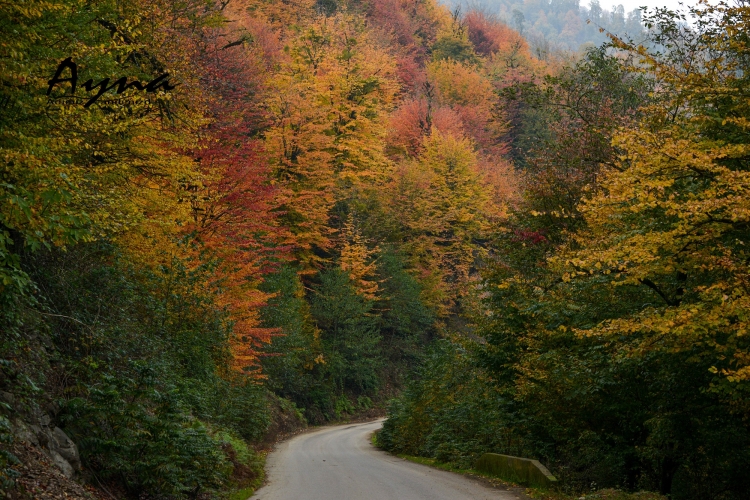 Yaradan buranı bir başqa yaradıb –