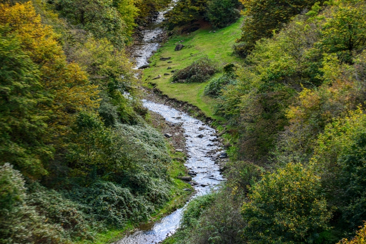 Məşhur dərənin payız sehri –