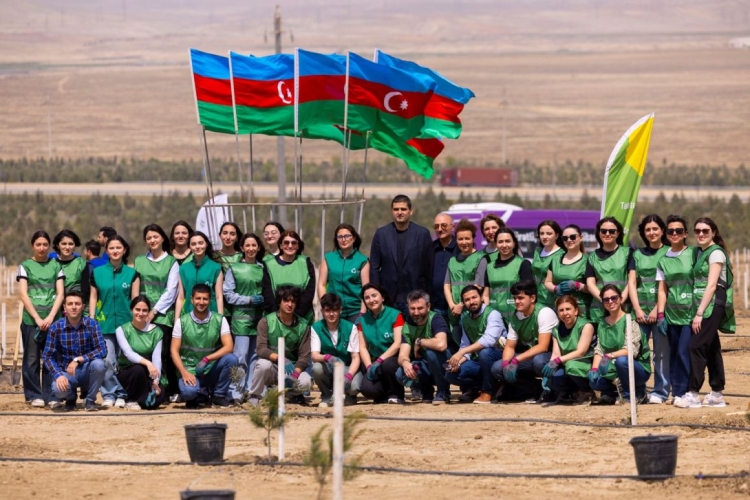 Bakıda ağacəkmə kampaniyası