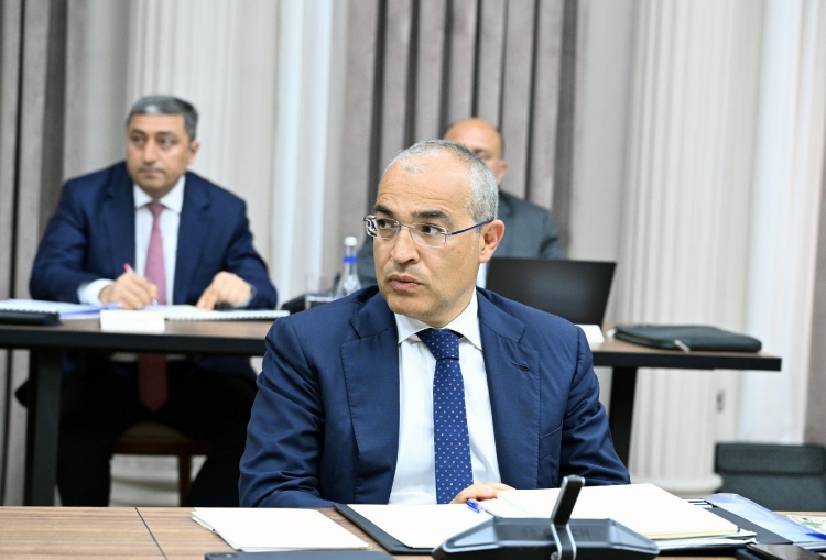 İqtisadi Şuranın növbəti iclası keçirilib -