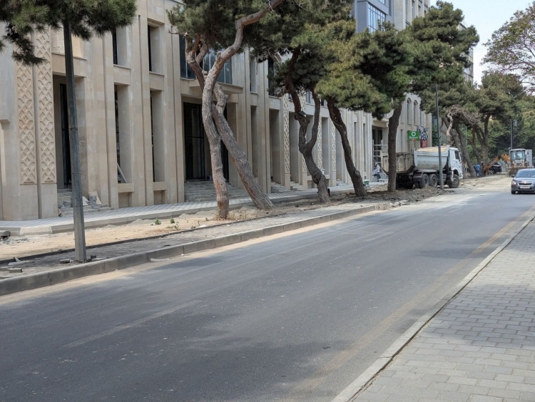 Gecə ilə səkini tutub, ağacların dibini asfaltlayaraq parkinq etdilər -