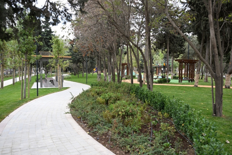 Bakıda yeni parkın açılışı olub -