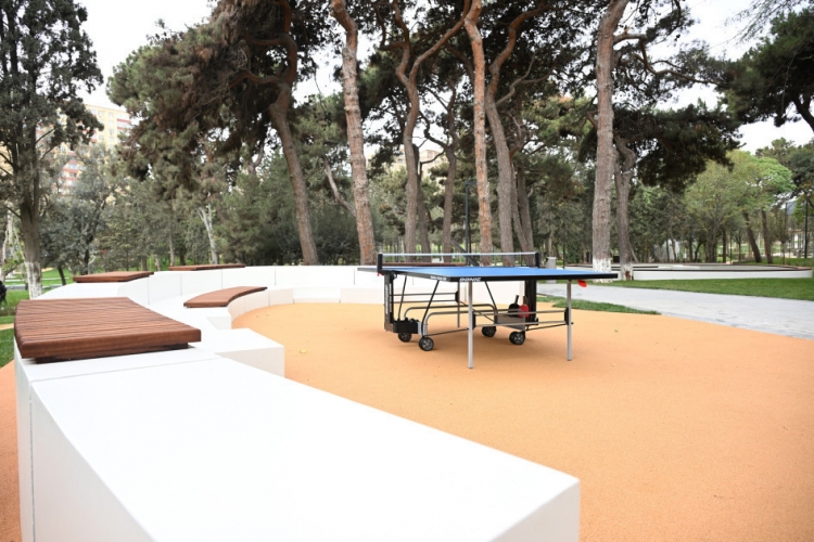 Bakıda yeni parkın açılışı olub -