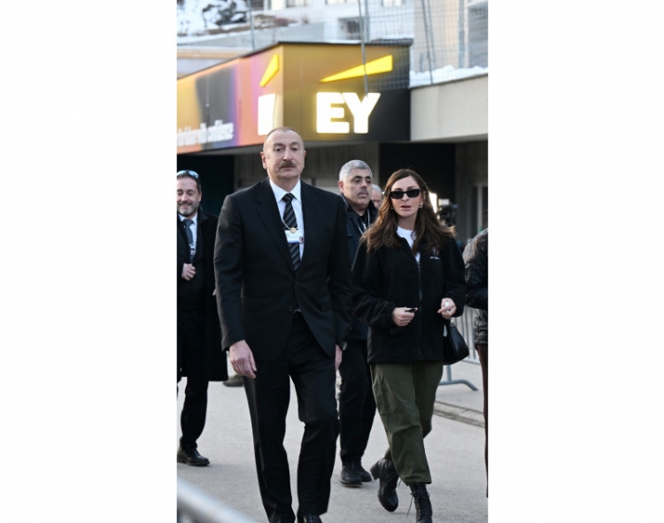 Prezident Davosda panel iclasda iştirak edib -