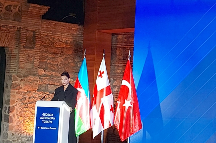 Gürcüstan-Azərbaycan-Türkiyə biznes-forumu keçirilib