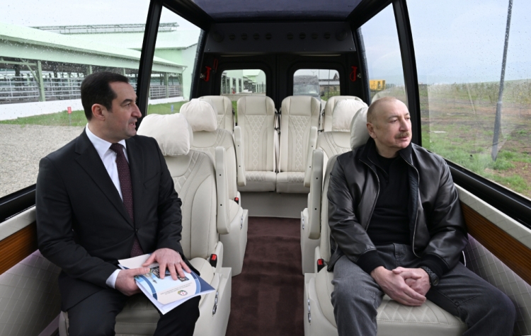 Prezident “Şirvan Aqro” heyvandarlıq kompleksinin açılışında iştirak edib