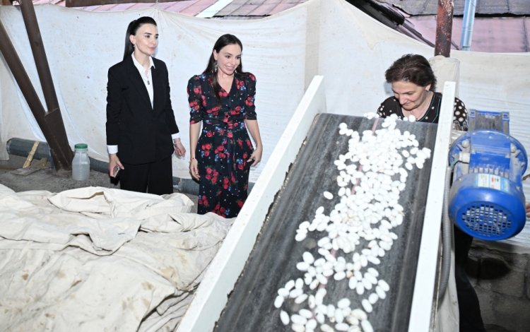 Leyla Əliyeva “Azəripək” ASC-nin fəaliyyəti ilə tanış olub